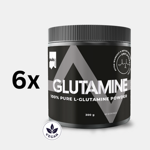 GLUTAMIINI 6x300g