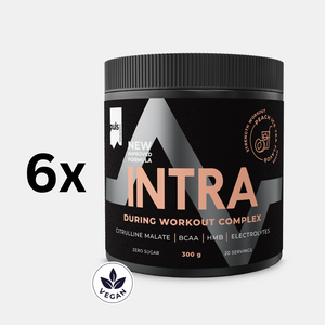 INTRA Persikkajäätee 6x300 g