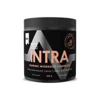 INTRA Persikkajäätee 300 g